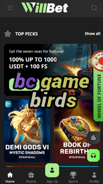 BC Game Birds - Avian-Themed Slot Game-vz72fvrf.com
