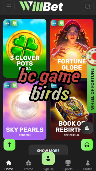 BC Game Birds - Avian-Themed Slot Game-vz72fvrf.com